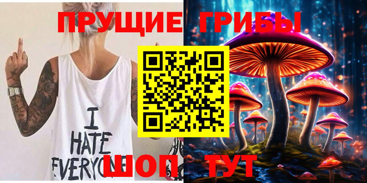 Галлюциногенные грибы Psilocybine cubensis Спасск-Дальний
